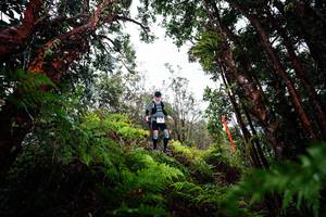 BIB: 
                            <button type="button" onclick="openModal(26201368)" class="btn btn-primary btn-sm float-right btn-popup" data-toggle="modal" data-target=".modal-high-quality">
                        <i class="fas fa-shopping-cart"></i> Add to Cart
                    </button>
                                            <button type="button" onclick="isThisMe(26201368, true)" class="btn btn-success btn-sm float-right btn-popup btn-isme hidden" data-toggle="tooltip" data-placement="bottom" title="นี่คือรูปของคุณใช่ไหม คลิกที่นี่เพื่อเอาเข้าอัลบั้ม">
                        <i class="fas fa-plus"></i> Add to album
                    </button>
                    <button type="button" onclick="isThisMe(26201368, false)" class="btn btn-warning btn-sm float-right btn-popup btn-isnotme hidden">
                        <i class="fas fa-ban"></i> Remove from album
                    </button>